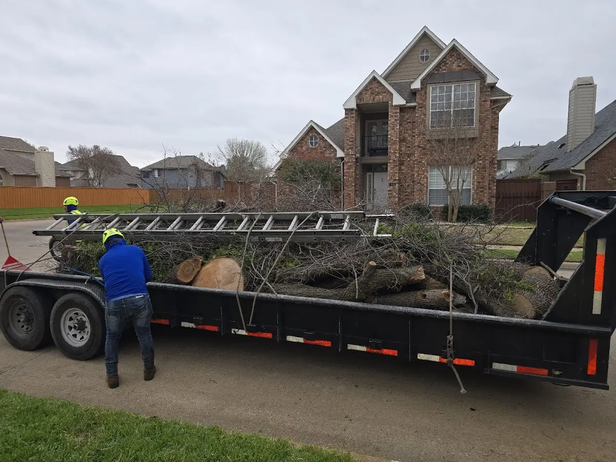 Expert Lot Clearing with proper safety equipment in Hubbard